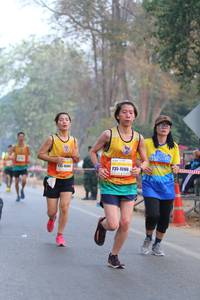 BIB: 15160
                            <button type="button" onclick="openModal(10409715)" class="btn btn-primary btn-sm float-right btn-popup" data-toggle="modal" data-target=".modal-high-quality">
                        <i class="fas fa-shopping-cart"></i> Add to Cart
                    </button>
                                            <button type="button" onclick="isThisMe(10409715, true)" class="btn btn-success btn-sm float-right btn-popup btn-isme hidden" data-toggle="tooltip" data-placement="bottom" title="นี่คือรูปของคุณใช่ไหม คลิกที่นี่เพื่อเอาเข้าอัลบั้ม">
                        <i class="fas fa-plus"></i> Add to album
                    </button>
                    <button type="button" onclick="isThisMe(10409715, false)" class="btn btn-warning btn-sm float-right btn-popup btn-isnotme hidden">
                        <i class="fas fa-ban"></i> Remove from album
                    </button>